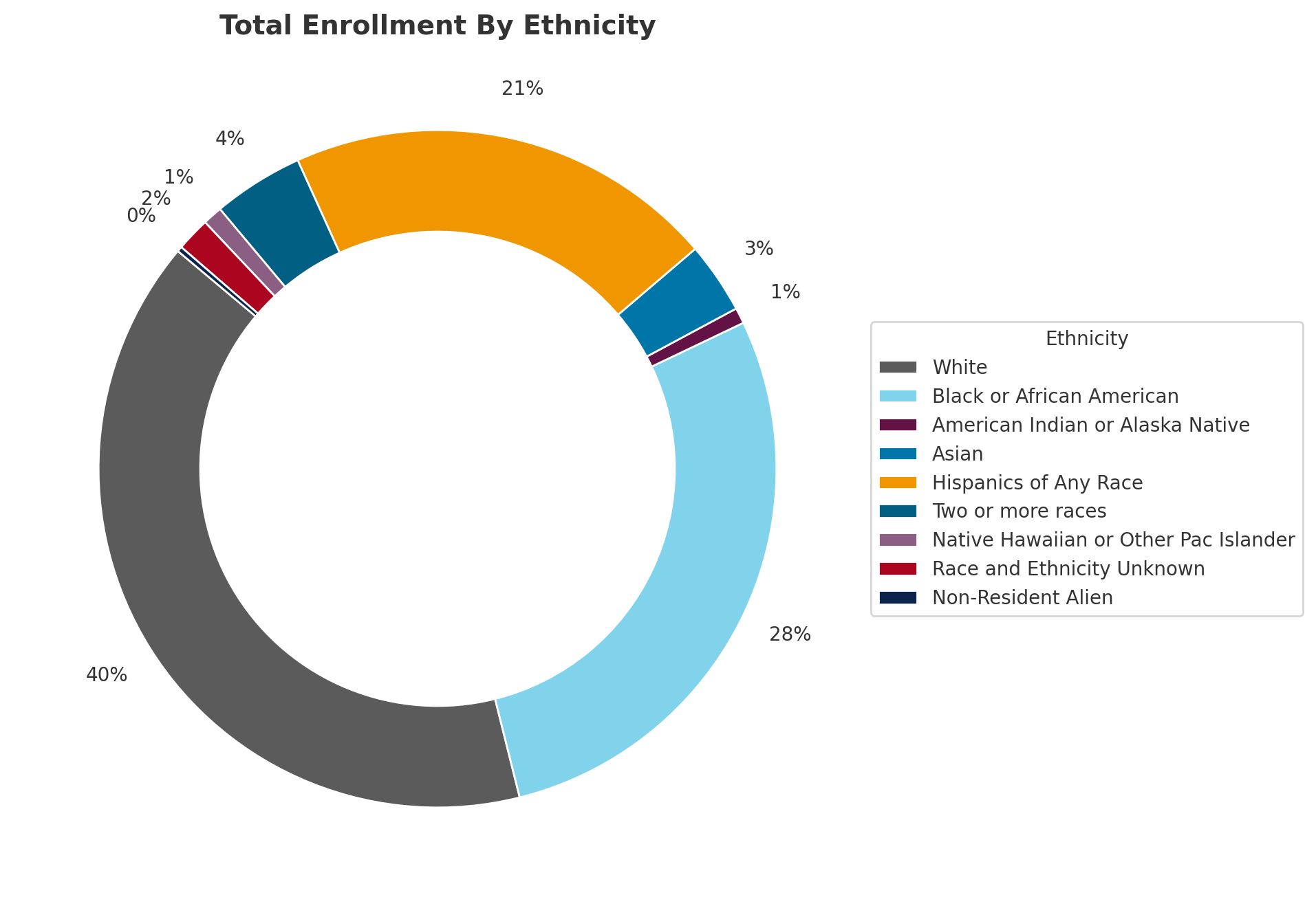 Total Enrollment By Race and Ethnicity