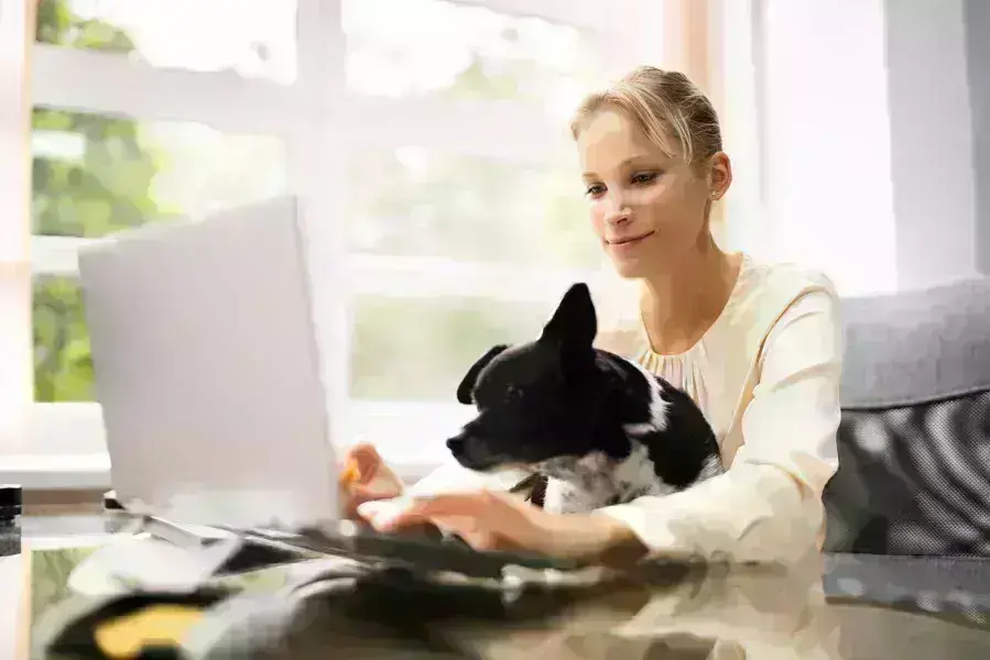 lady on laptop