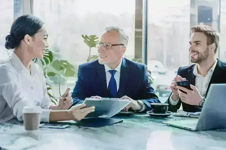 Professionals in a meeting