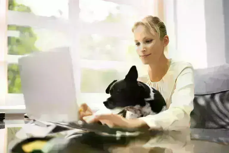 lady on laptop