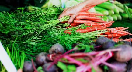 The 0, 1, 2, 3 Healthy Eating Strategy for the Busy Online Student